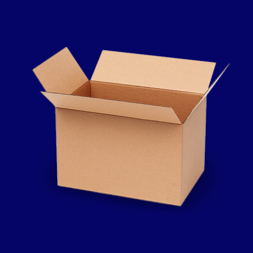 SUB MENU-CARTON BOX